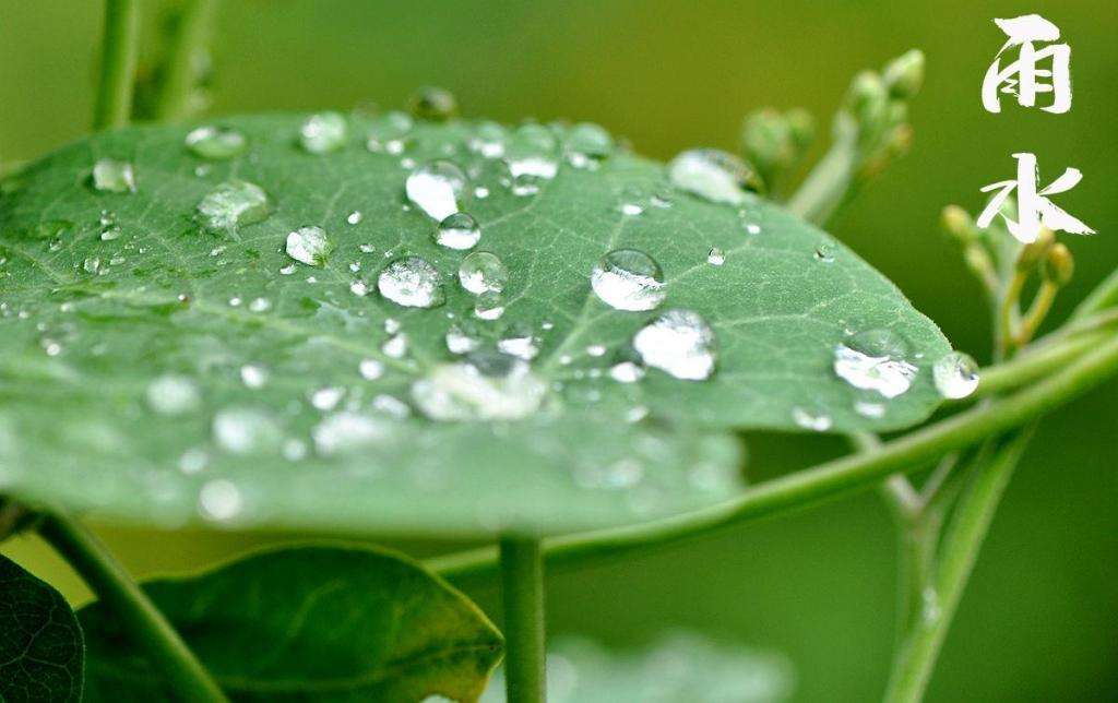 雨水！